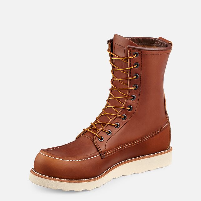 10877 Traction Tred 8