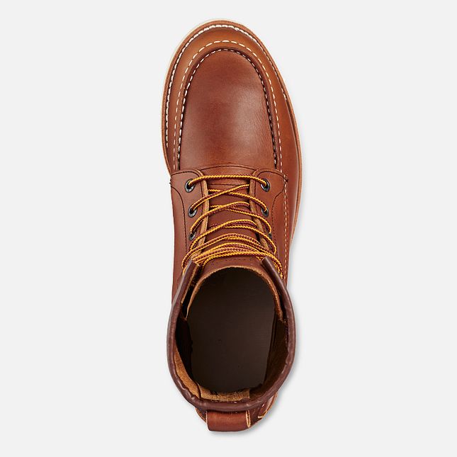 10877 Traction Tred 8